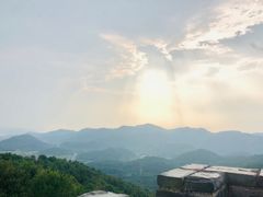 -黄贤森林公园