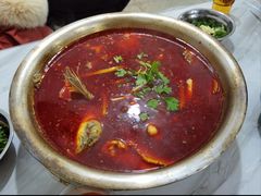 -重庆特色冷锅鱼(武大店)