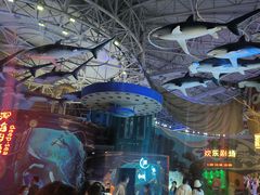 -烟台海昌鲸鲨海洋公园