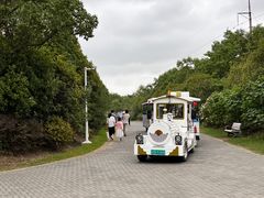 -上海海湾国家森林公园