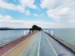 -贡湖湾湿地公园
