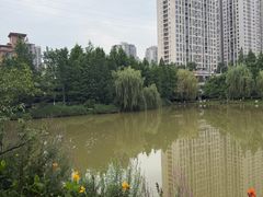 -沐仙湖湿地公园