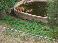 -石家庄市动物园