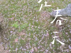 -覃肥叔桂林米粉(粮道街店)