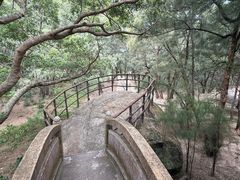 -宋井风景区