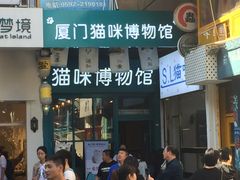 -猫咪博物馆(顶澳仔猫街店)