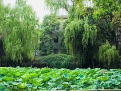 -四川大学(望江校区)