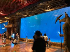 -华夏文旅海洋公园