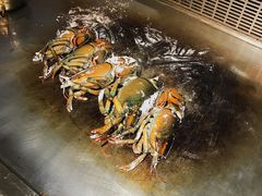 铁板小青龙-海玥荟海鲜姿造自助餐厅(欧罗巴广场店)