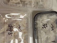 -听涛雅苑百味饺子老家菜馆