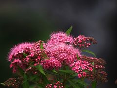 -上海吴淞炮台湾国家湿地公园