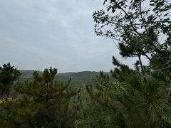 -五龙城郊森林公园