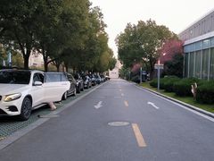 -上海夏阳湖皇冠假日酒店-停车场