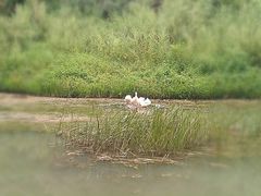 -紫海香堤香草艺术庄园
