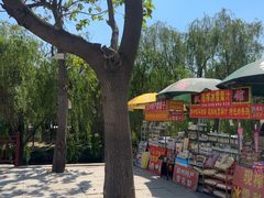 -赵州桥景区