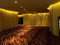 -武汉华夏国际影城(鲁广店)