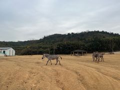 -杭州野生动物世界