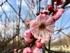 -白塘生态植物园