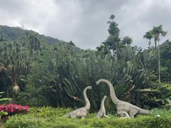 -呀诺达热带雨林