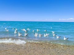 -青海湖国家重点风景名胜区