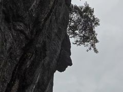 -蝶舞清江·恩施地心谷景区