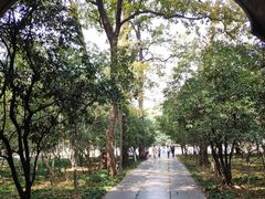 -灵谷景区