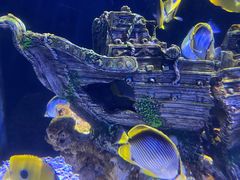 -成都浩海立方海洋公园