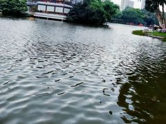 -荔湾湖公园