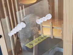 -瑞派宠物医院·24h·骨外科·皮肤科·全科宠物医疗转诊中心(沈阳浑南院)