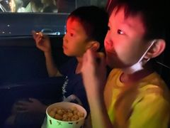 -枫花园汽车电影院(朝阳公园店)