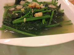 新梅园(龙华店)-新梅园不夜粥(龙华店)