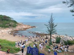 -广东惠东海龟国家级自然保护区