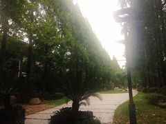 -复旦大学光华楼