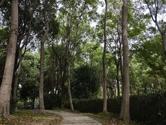 -贡湖湾湿地公园