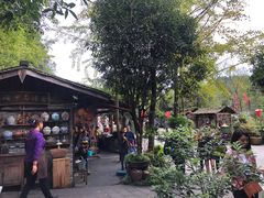 -青城甲(青城山店)