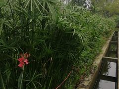 -白鹭湾湿地公园