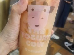 -一只酸奶牛(八一路店)