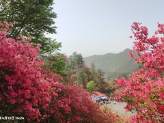 -木兰云雾山