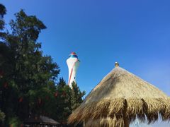 -北海金海湾红树林生态旅游区