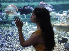 -成都浩海立方海洋公园