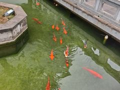 -麒麟小院·老九江菜(安平路店)