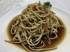 -丁老爷子苏香圆