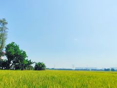 -崖口云吞(中堡店)