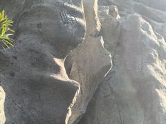 -汇龙潭