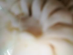 -津门张记包子铺(中山门店)
