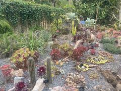 -中国科学院西双版纳热带植物园