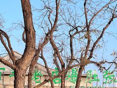 -东兴顺爆肚张