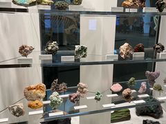 -墨尔本博物馆(Melbourne Museum)