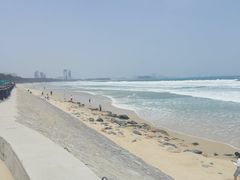-海之鲜大排档(东山海鲜金銮湾店)