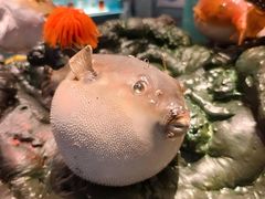 -天津自然博物馆
